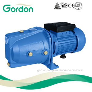 Gardon Copper Wire Self-Priming Jet Water Pump with Casting Part